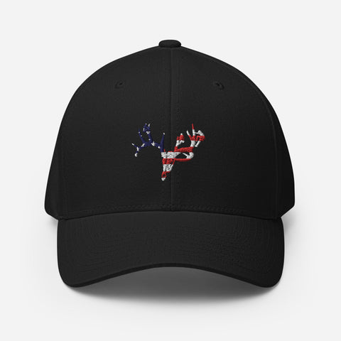 Flag Logo Flex-Fit Hat